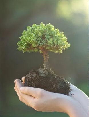 環境を考えるイメ―ジ　縦長